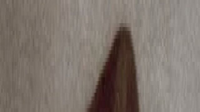 Верди, Джузеппе