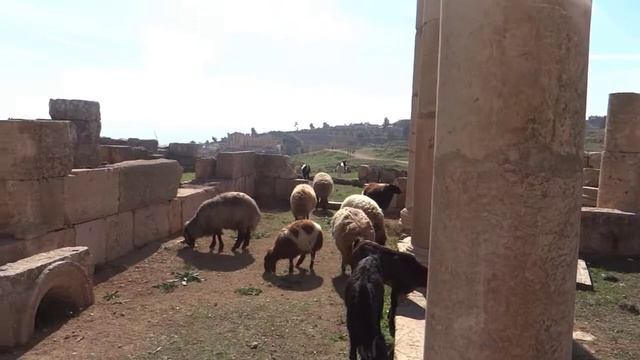 Джераш (Jerash) - город тысячи колонн смотреть онлайн