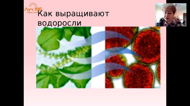 Астаксантин. Этапы его производства. Лидия Шудина. смотреть онлайн