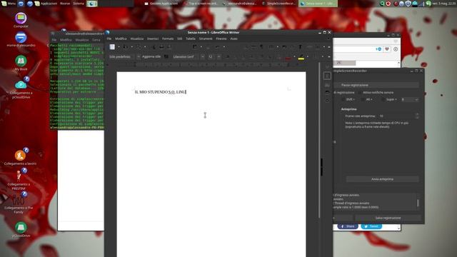 Il mio stupendo s.o. Linux Mint смотреть онлайн