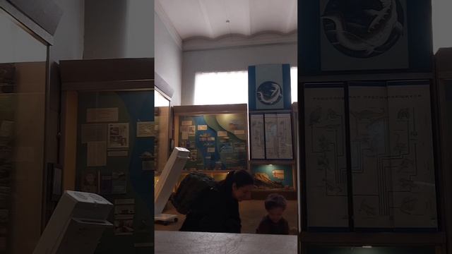 Гуляю с Сыном. Едим МОНАСТЫРСКИЕ плюшки. КРАЕВЕДЧЕСКИЙ МУЗЕЙ