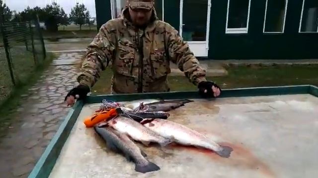 20.04.21 рыбалка Гарантия смотреть онлайн