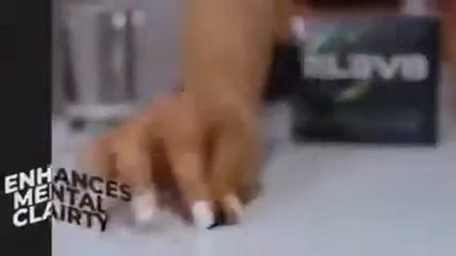 знаменитый Элеф8