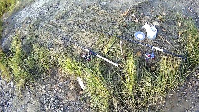 Рыбалка в Колтогорске. Конец сентября.