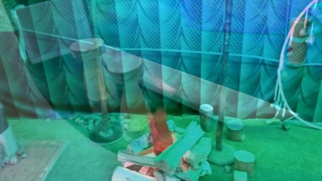 Этнографический уголок в аэропорту Сургута смотреть онлайн