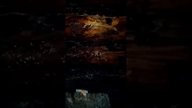 Шлифовка стен в бане смотреть онлайн