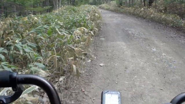 18 мая 2019 Санта - Чеховский - Марковский - Хомутово