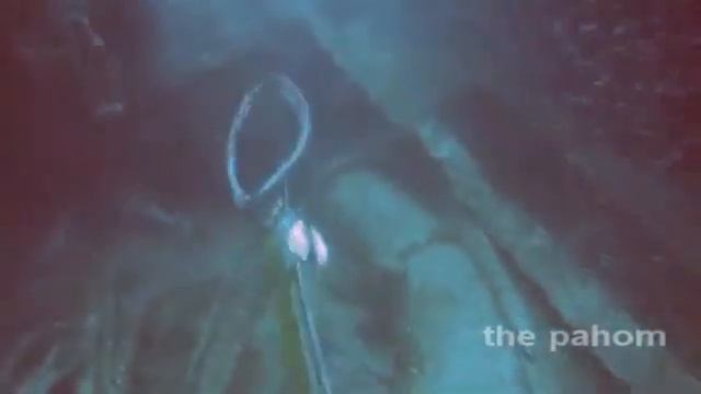 Угарные приколы и случаи на рыбалке