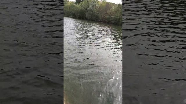 рыбалка во Франции смотреть онлайн