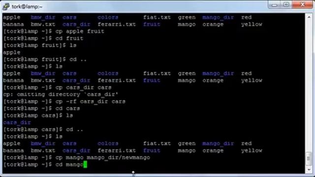 015 003 Copy , Move and Rename files and directories смотреть онлайн