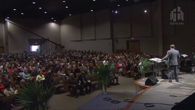 Царь, грядущий на ослице Алексей Коломийцев