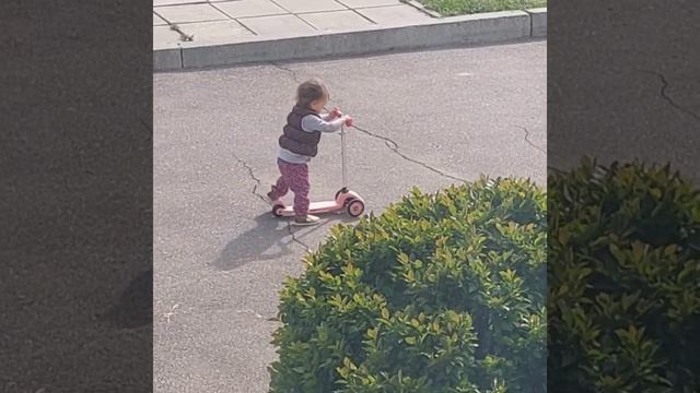 Дивногорье. День 6 🗻 смотреть онлайн