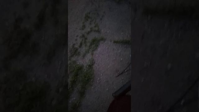 как сделать из мопеда мотоцикл 🏍️. смотреть онлайн