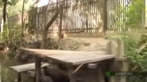 Вилково.  Липоване.