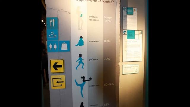 Живые системы