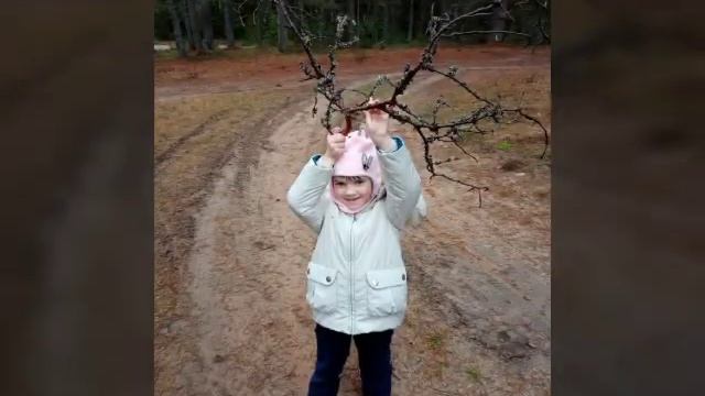 Экологическая тропа. Осень 2020. смотреть онлайн