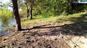 ПОПЛАВОК ПОПЛАПОПЕР.рыбалка весной