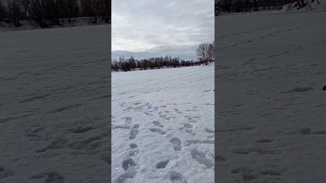 фигу тебе а не рыбы смотреть онлайн