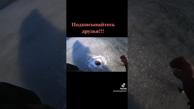 Плотва на опарыша смотреть онлайн