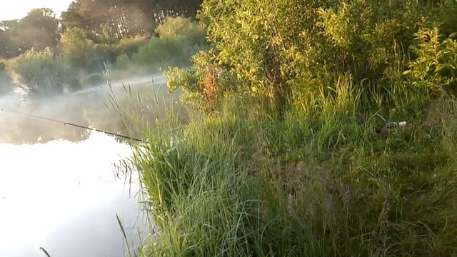 17 июня 2023 г. смотреть онлайн