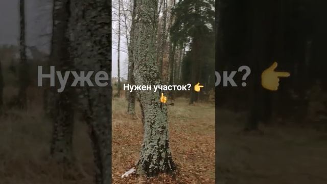 участок в Подмосковье на берегу реки. Строительство каркасных домов смотреть онлайн