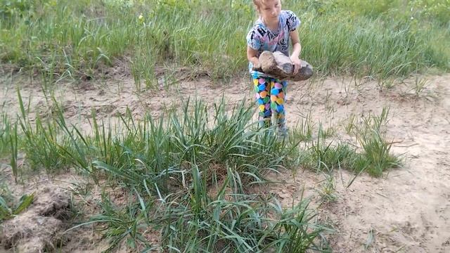 прогулка по лесу оператор @ники-950 смотреть онлайн