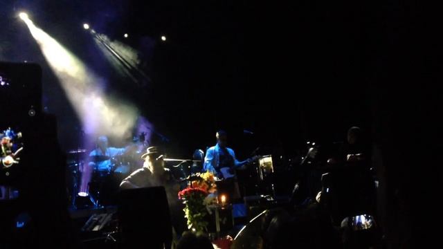 Аквариум в Горбушке 22.12.2019 КРЕСТОВЫЙ ПОХОД ПТИЦ смотреть онлайн