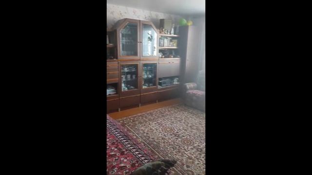 Дом в Нарышкино