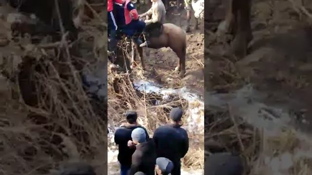 Кара суу Савай Аламан улак смотреть онлайн