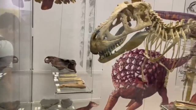 Видео-экскурсия в «Дарвиновский музей» смотреть онлайн