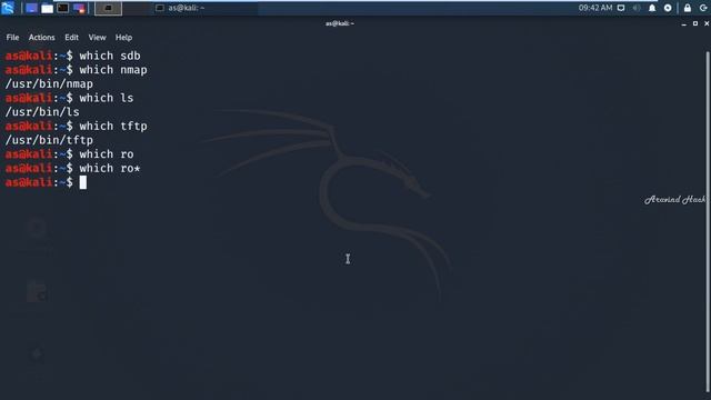 finding files in kali linux using which command смотреть онлайн