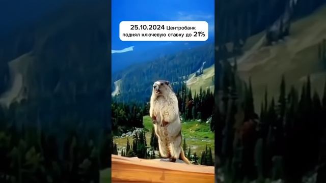 Ну ни чего страшного, хотя…#прикол #калининград #переезд