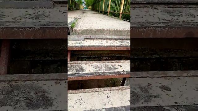 Иду с рыбалки,ничего не поймал зато красиво смотреть онлайн