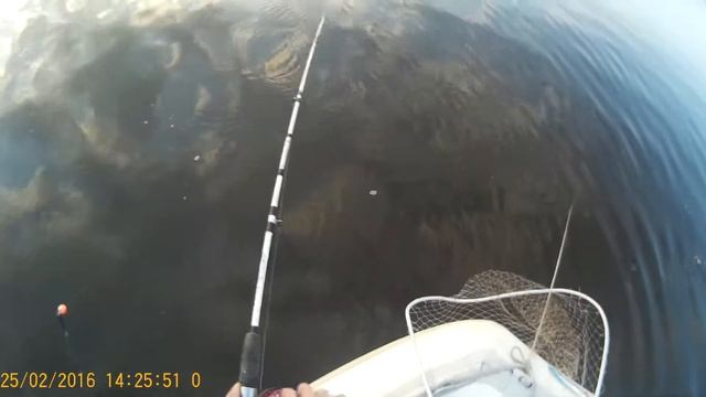 07.09.18 клюнул уже на закате смотреть онлайн