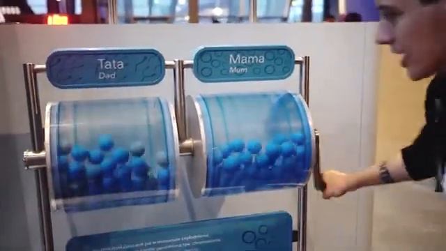 сходил в музей))