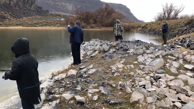 Давид рыбачит смотреть онлайн