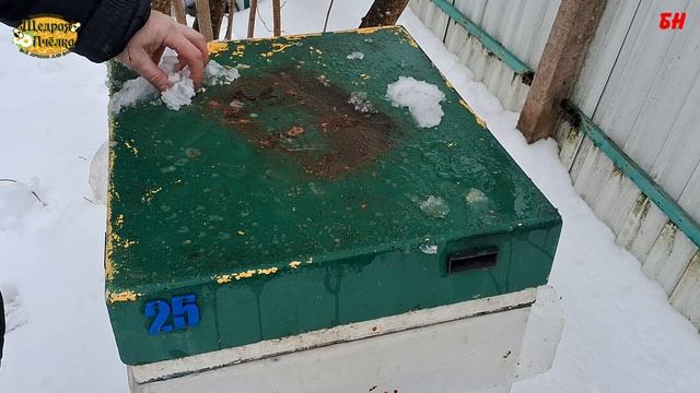 почему не обработал пчел чистотелом, пчеловодство смотреть онлайн