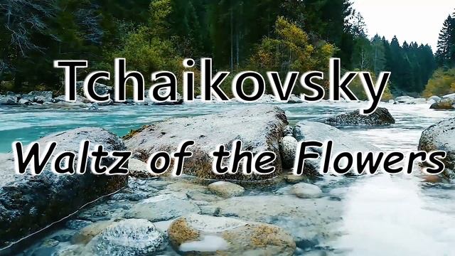 Tchaikovsky - Waltz of the Flowers смотреть онлайн