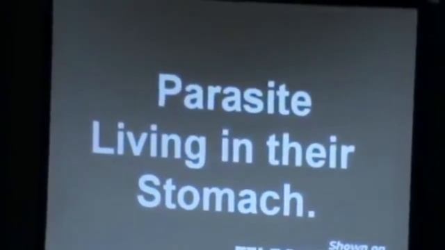 ColoVada (Коловада) от Coral Club смотреть онлайн