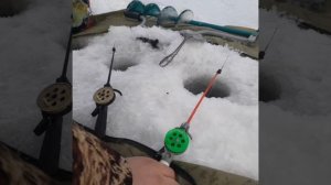 Рыбалка на Чебака. На зимнюю удочку.