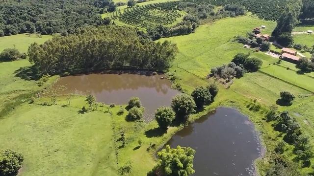 Успокаивающая музыка для нервов 🌿 лечебная музыка для сердца и сосудов, релакс, музыка для души #50 смотреть онлайн