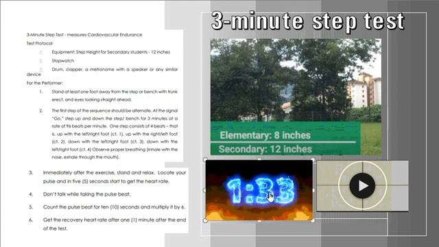 3 Minute Step Test With Timer And Explanation