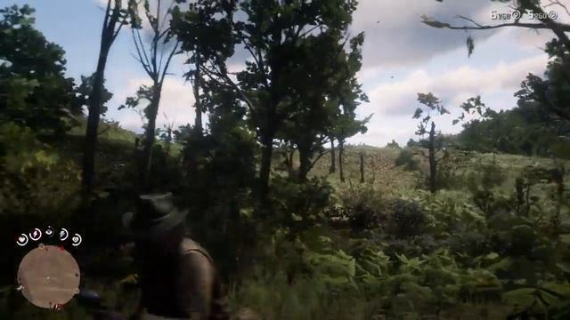 Arthur Echa a Leopard Estratus!! Red Dead Redemption 2 смотреть онлайн