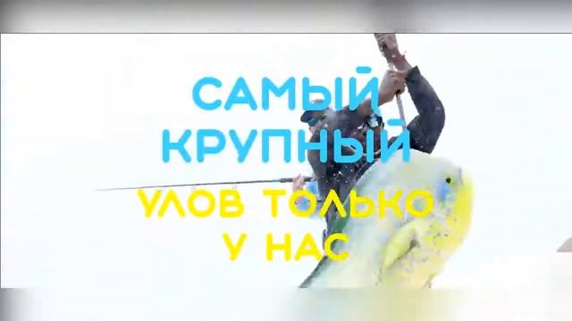 Рыбалка в Беларуси смотреть онлайн