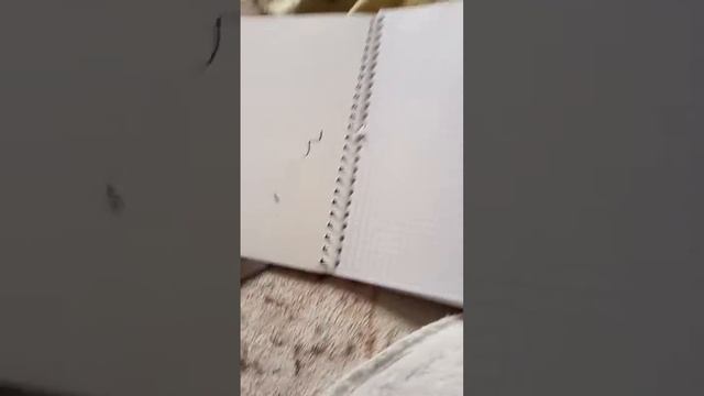 лайфхак от руслана смотреть онлайн