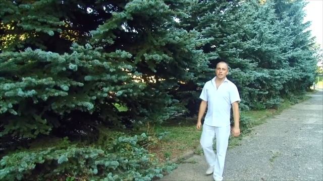 Знакомьтесь - мой Козьмодемьянск смотреть онлайн