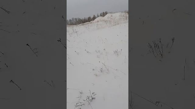 Прогулка в лес))) смотреть онлайн