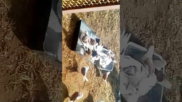 Чебаркули Ломова С купание смотреть онлайн