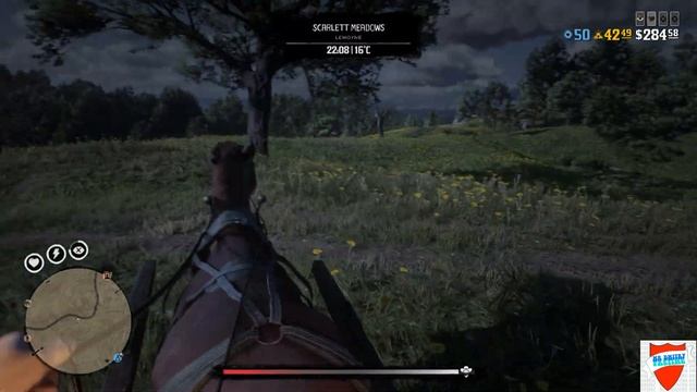 Red Dead Redemption 2  Online  Торговля Крипс   доставка материалов