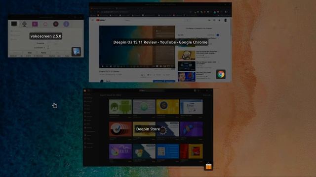 One week review Deepin Os 15.11 смотреть онлайн